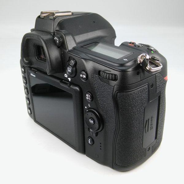 NIKON D780 (2.051 SCATTI) - immagine 5