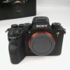 SONY ALPHA 1 (3.700 scatti)