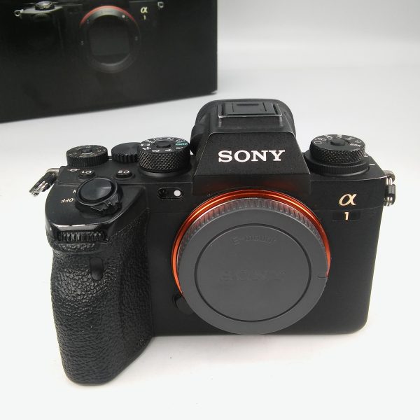 SONY ALPHA 1 (3.700 scatti)