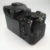 SONY ALPHA 1 (3.700 scatti) - immagine 5