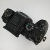 SONY ALPHA 1 (3.700 scatti) - immagine 6