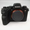 SONY ALPHA 1 (3.700 scatti) - immagine 10