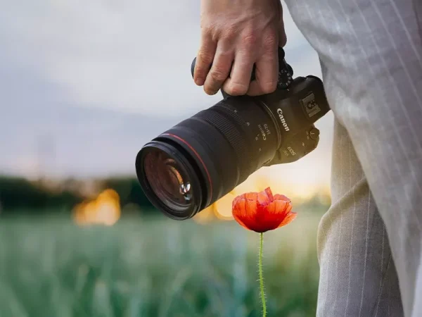 CANON CASHBACK