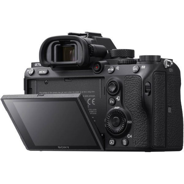 SONY ALPHA 7 III - immagine 4