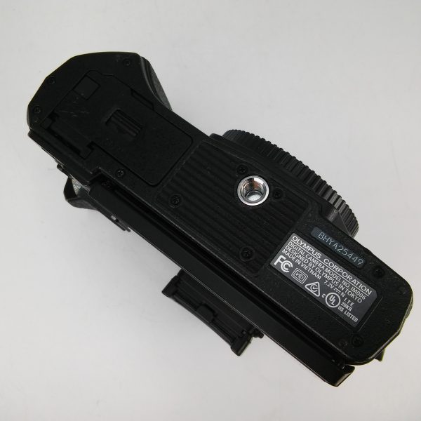 OM SYSTEM E-M10 MarkIII (scatti 1.790) - immagine 7