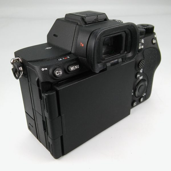 SONY 7R V (scatti eseguiti 4.180) - immagine 5