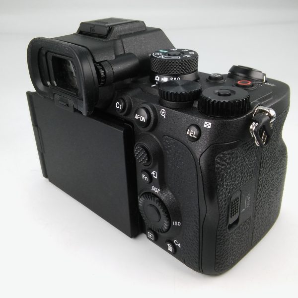 SONY 7R V (scatti eseguiti 4.180) - immagine 6