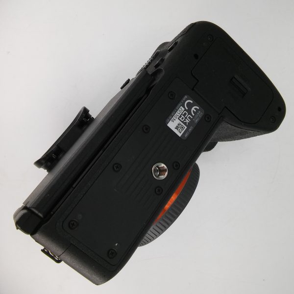 SONY 7R V (scatti eseguiti 4.180) - immagine 8