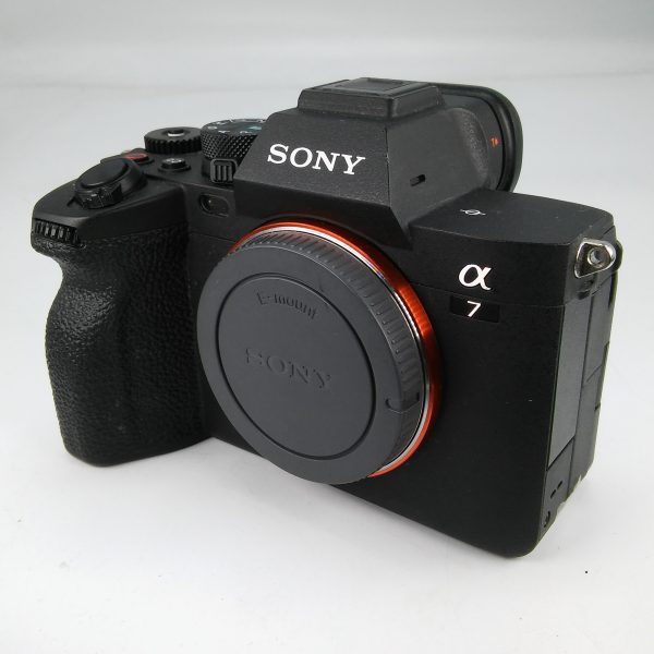 SONY ALPHA 7 IV (Scatti 11.656) - immagine 3