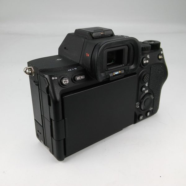 SONY ALPHA 7 IV (Scatti 11.656) - immagine 4
