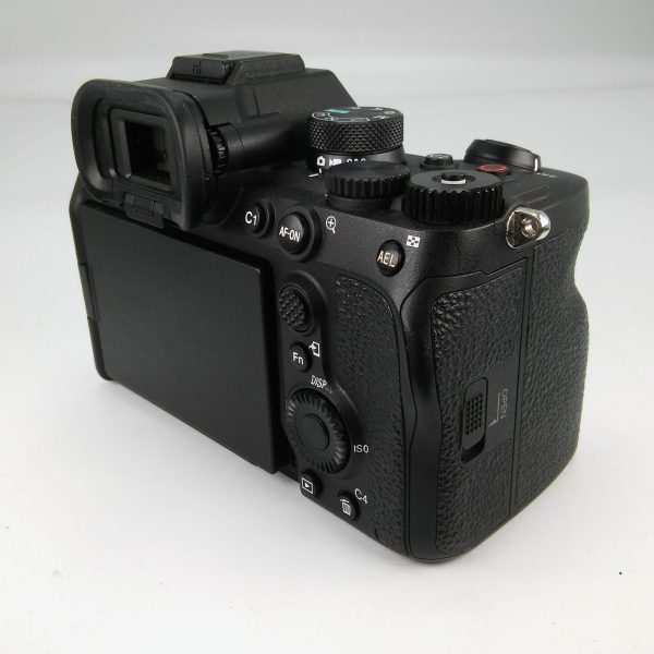 SONY ALPHA 7 IV (Scatti 11.656) - immagine 5