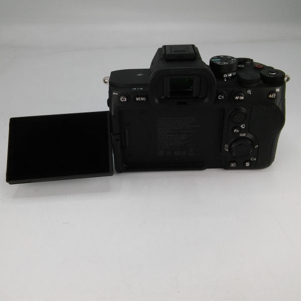 SONY ALPHA 7 IV (Scatti 11.656) - immagine 8