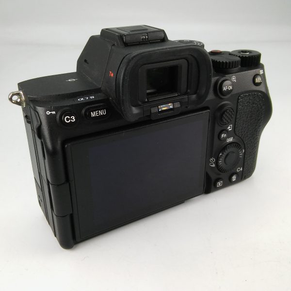 SONY ALPHA 7 IV (Scatti 11.656) - immagine 9