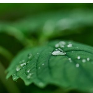 SIGMA CASH BACK PRIMAVERA 2026